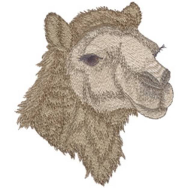 Picture of Camel Machine Embroidery Design