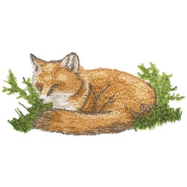 Picture of Red Fox Machine Embroidery Design