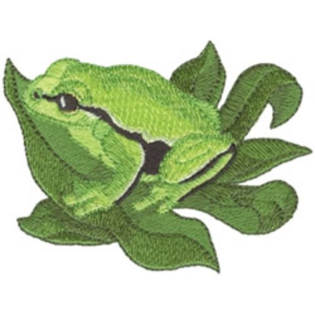 Picture of European Tree Frog Machine Embroidery Design