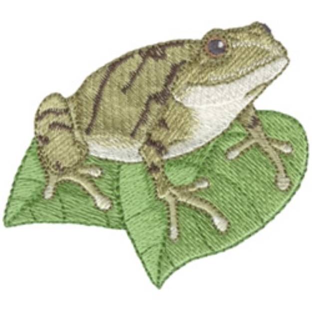 Picture of Spring Peeper Machine Embroidery Design