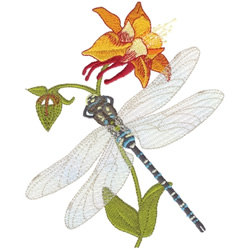 Paddle-tailed Darner Machine Embroidery Design