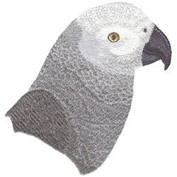 African Grey Parrot Machine Embroidery Design