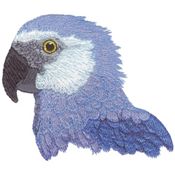 Spixs Macaw Machine Embroidery Design