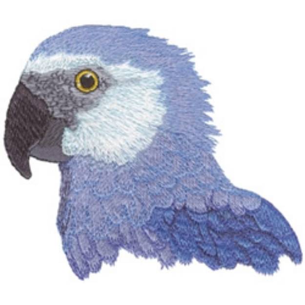 Picture of Spixs Macaw Machine Embroidery Design
