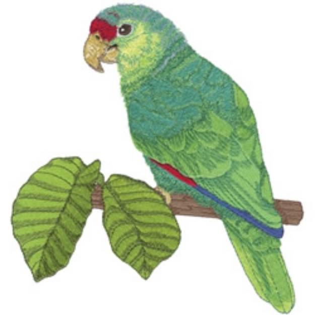 Picture of Parrot Machine Embroidery Design