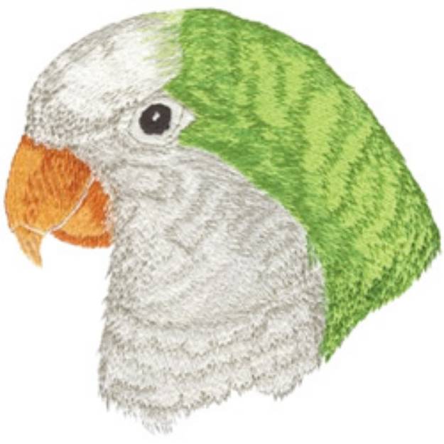 Picture of Quaker Parrot Machine Embroidery Design