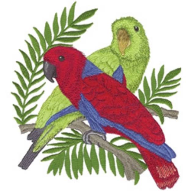 Picture of Eclectus Parrots Machine Embroidery Design
