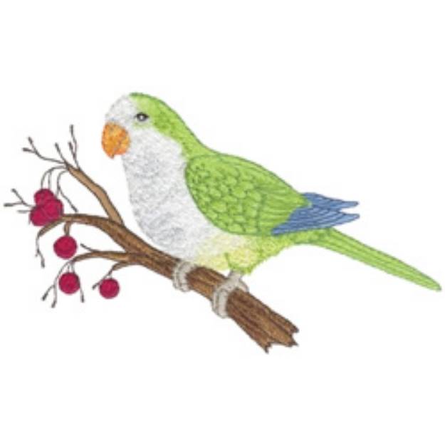 Picture of Monk Parakeet Machine Embroidery Design