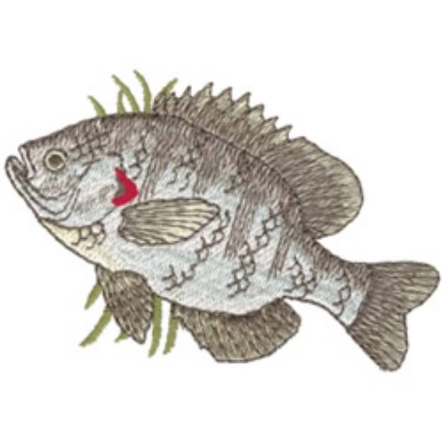 Picture of Redear Sunfish Machine Embroidery Design