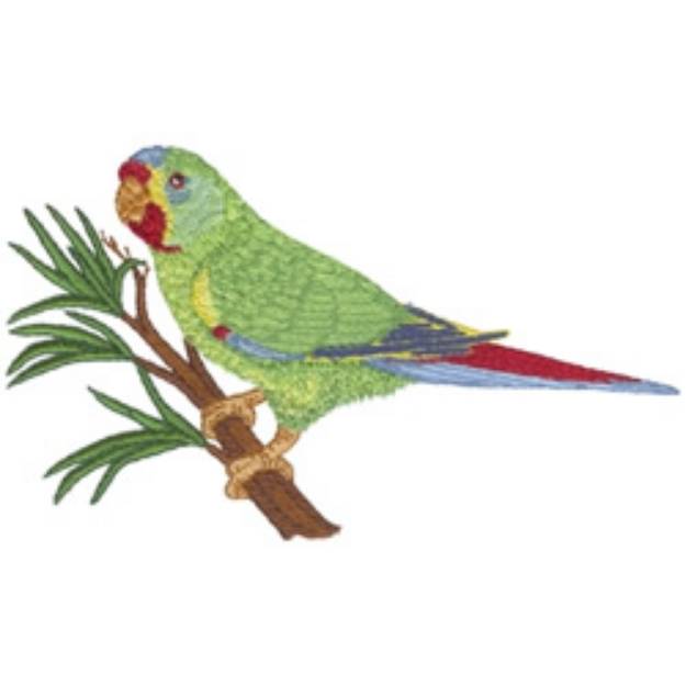 Picture of Swift Parrot Machine Embroidery Design