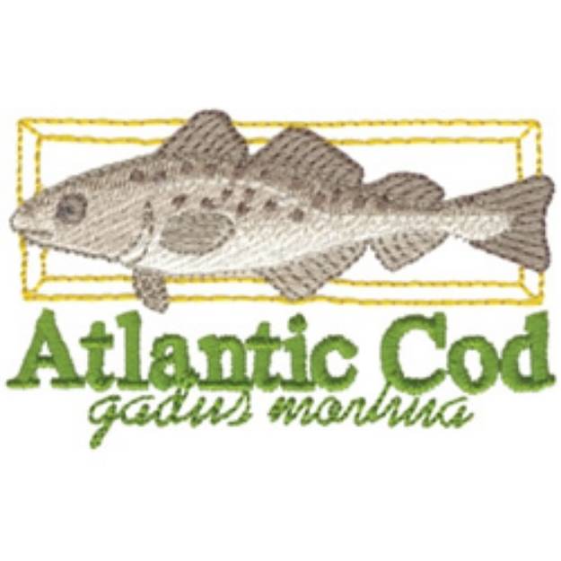Picture of Atlantic Cod Machine Embroidery Design