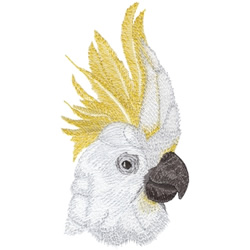 Sulfer  Crested Cockatoo Machine Embroidery Design