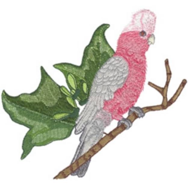 Picture of Galah Cockatoo Machine Embroidery Design