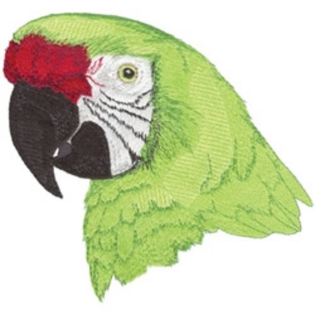 Picture of Military Macaw Machine Embroidery Design