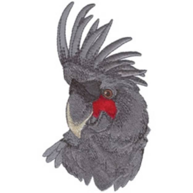 Picture of Black Palm Cockatoo Machine Embroidery Design