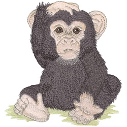 Chimpanzee Machine Embroidery Design