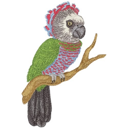 Hawk-headed Parrot Machine Embroidery Design