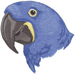 Hyacinth Macaw Machine Embroidery Design