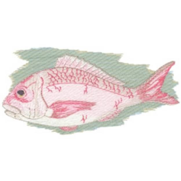 Picture of New Zealand Snapper Machine Embroidery Design