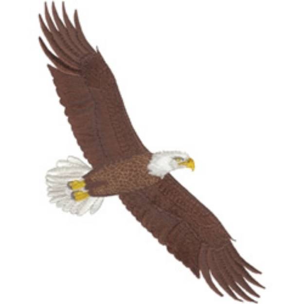 Picture of Bald Eagle Flying Machine Embroidery Design