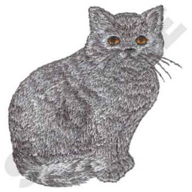 Picture of British Shorthaired Cat Machine Embroidery Design