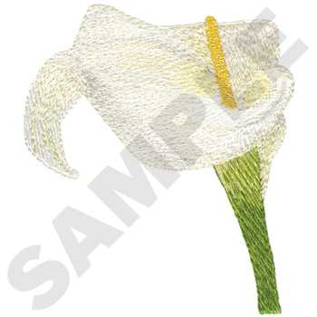 Lily Of The Nile Machine Embroidery Design