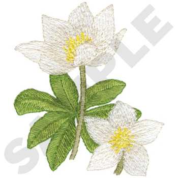 White Flowers Machine Embroidery Design