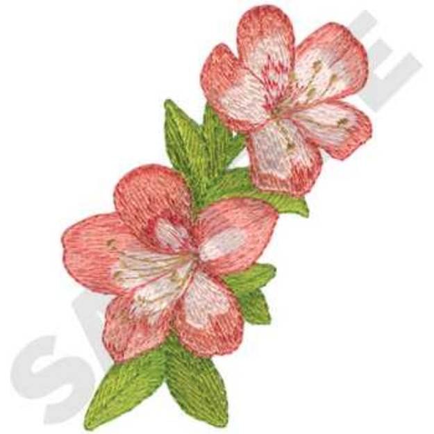 Picture of Vermilion Cup Rhododendron Machine Embroidery Design