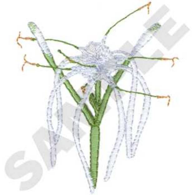 Picture of Spider Lily Machine Embroidery Design