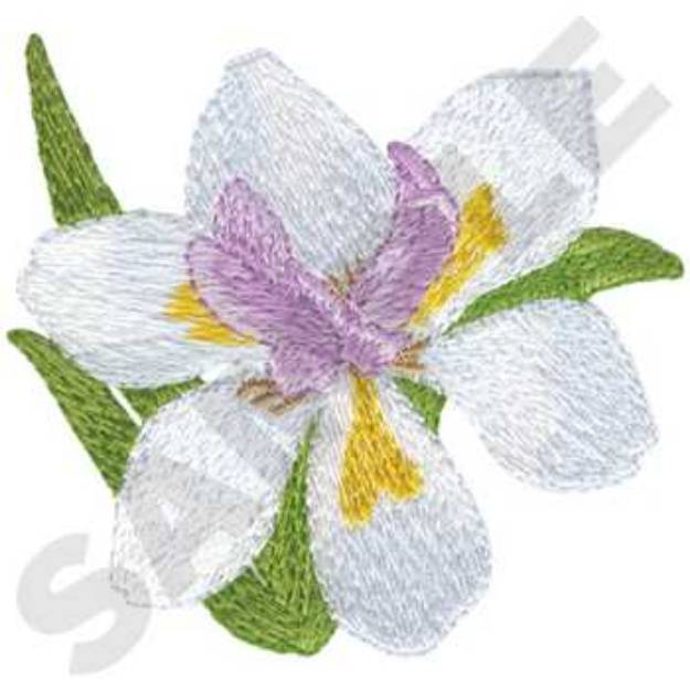 Picture of African Wild Iris Machine Embroidery Design