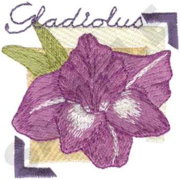 Picture of Gladiolus Machine Embroidery Design