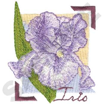 Iris Machine Embroidery Design