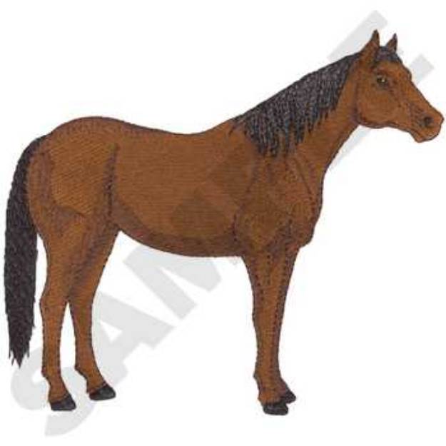 Picture of Thoroughbred Horse Machine Embroidery Design
