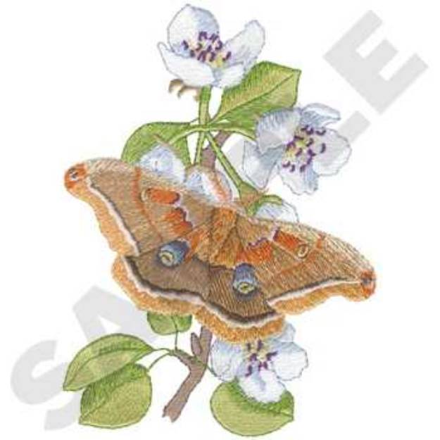 Picture of Moth Pyrus Machine Embroidery Design