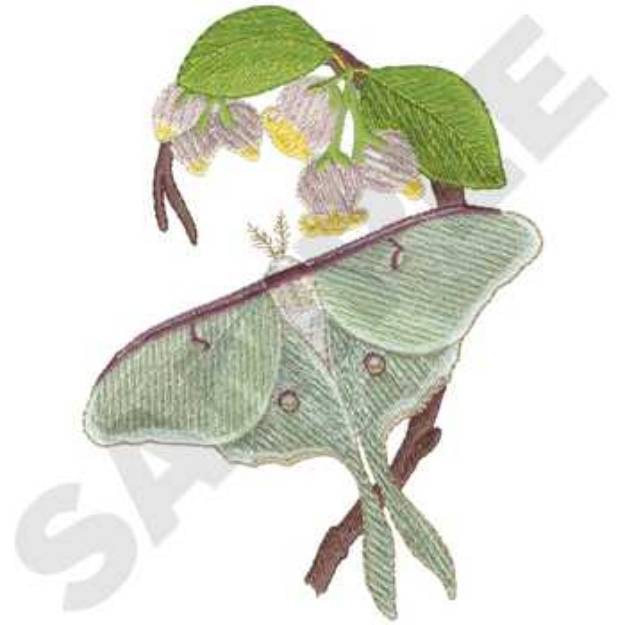 Picture of Moth Persimmon Machine Embroidery Design