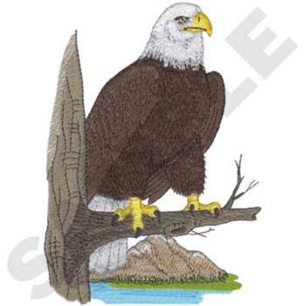 Picture of Bald Eagle On Limb Machine Embroidery Design