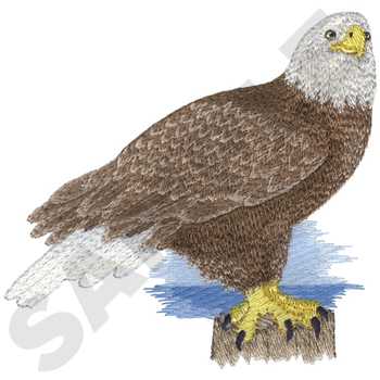 Bald Eagle Machine Embroidery Design