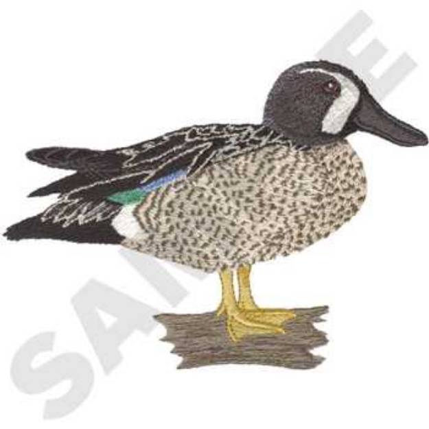 Picture of Blue-Winged Teal Machine Embroidery Design