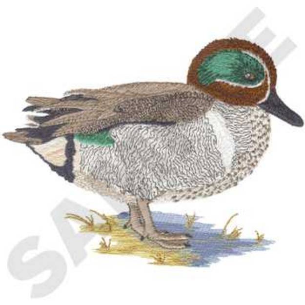 Picture of Green-winged Teal Machine Embroidery Design