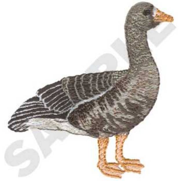 Picture of Speckled-belly Goose Machine Embroidery Design