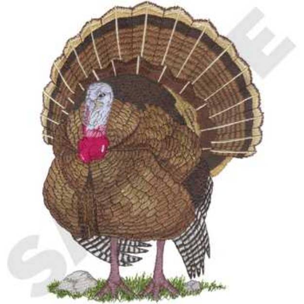 Picture of Wild Turkey Machine Embroidery Design