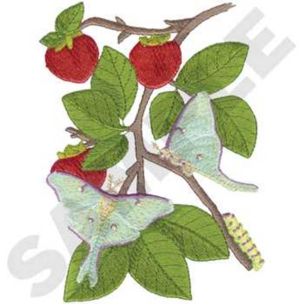 Picture of Lunas on Persimmon Machine Embroidery Design