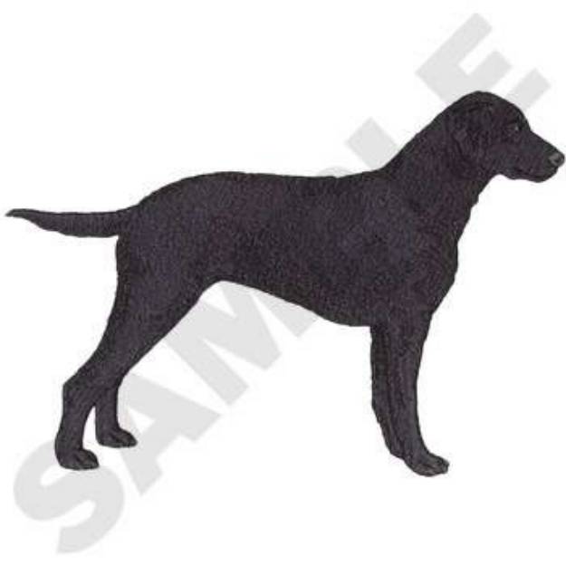 Picture of Curly Coat Retriever Machine Embroidery Design
