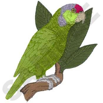 Amazon Parrot Machine Embroidery Design