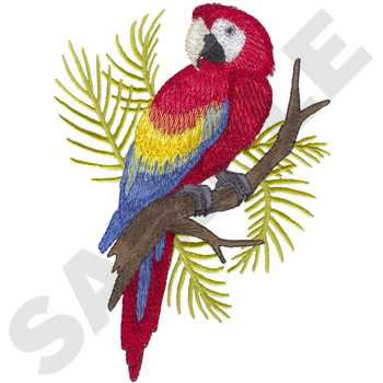 Scarlet Macaw Machine Embroidery Design
