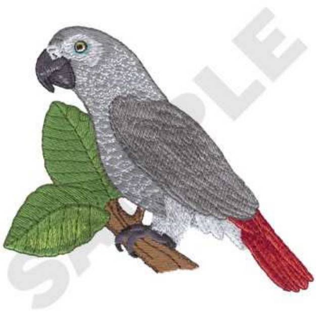 Picture of African Grey Machine Embroidery Design