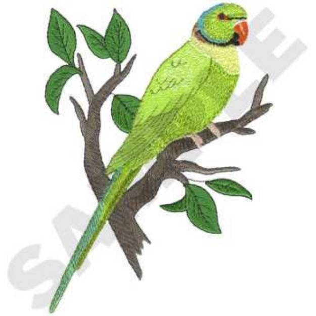 Picture of Rose Ringed Parakeet Machine Embroidery Design