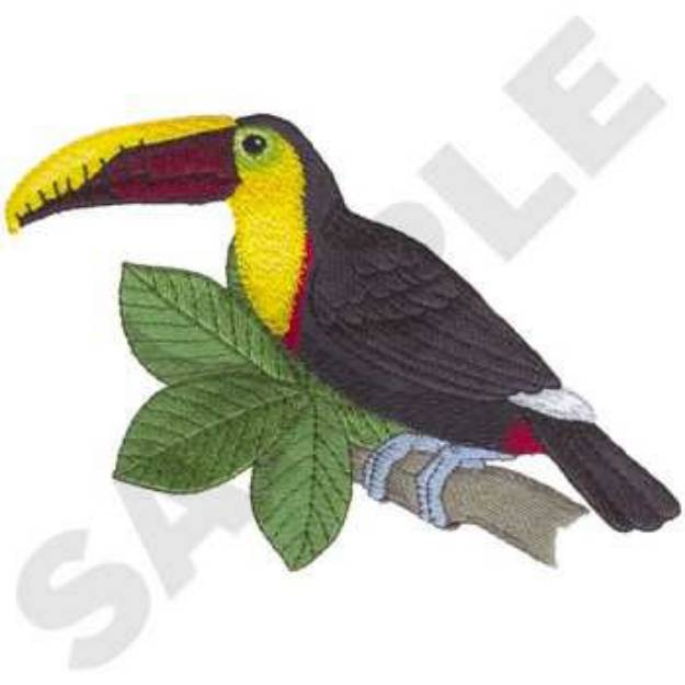 Picture of Chestnut Toucan Machine Embroidery Design