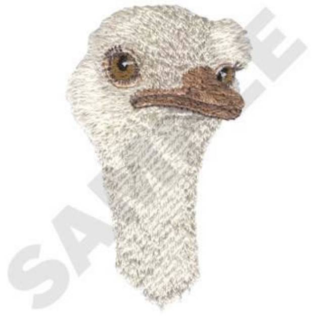 Picture of Ostrich Head Machine Embroidery Design