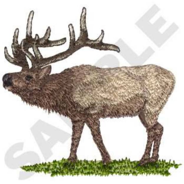 Picture of Bugling Elk Machine Embroidery Design